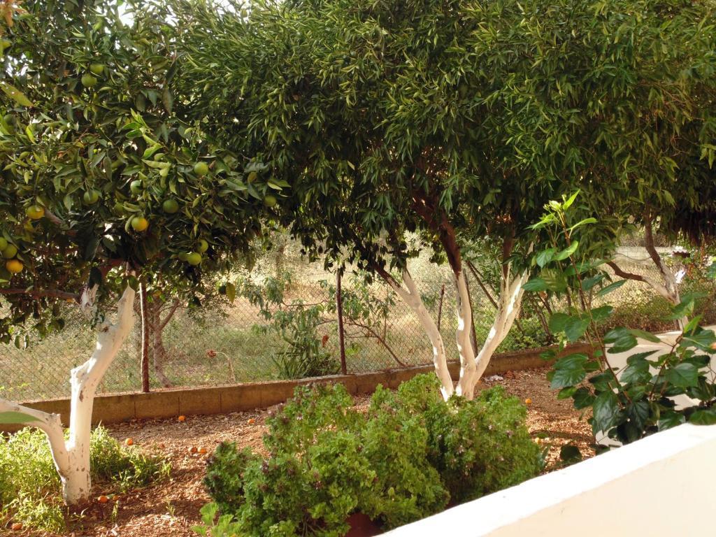 Villa Melini Patitírion Dış mekan fotoğraf