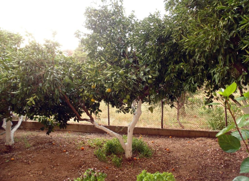 Villa Melini Patitírion Dış mekan fotoğraf