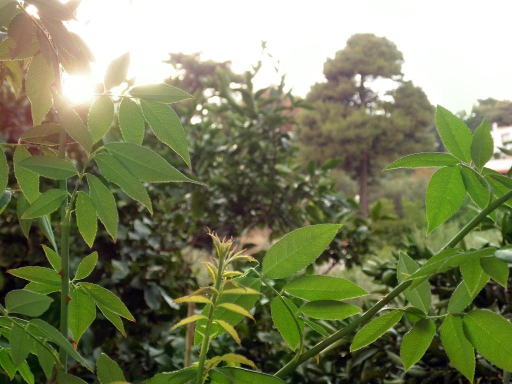 Villa Melini Patitírion Oda fotoğraf